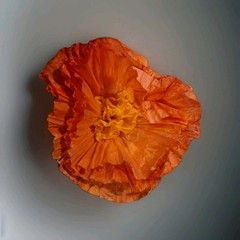 •EVENT IN A BOX• Handcrafted Romantic Paper Flowers, 60″x14″ tablescape