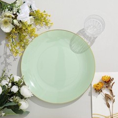 SAGE GREEN 10 Glossy 10″ Round Plastic Salad PLATES Gold Rim Party Events