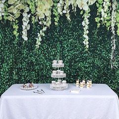 8 ft x 8 ft Printed Vinyl Greenery Vines Photo Backdrop Party Event Decorations