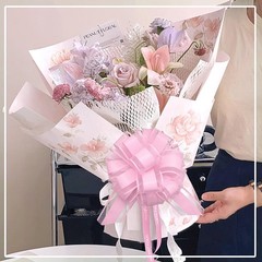 FQTANJU 5 PCS 6 Inch Pink Organza Pull Bows, Classic Style for 6 inches,