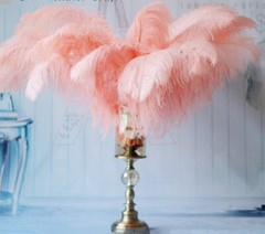 Peach Blush Pink 12 Pieces Ostrich Feather 12-14 inches Dozen Wedding Centerpiec
