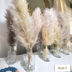 Birthday Party Decor, First Birthday Decor, Party Decor, Garden Party Decor