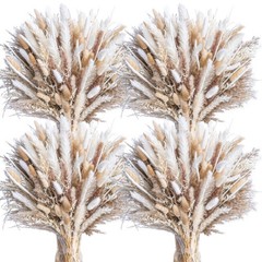 440PCS Natural Dried Pampas Grass Boho Home Decor Bouquet Phragmites Dried Fl…