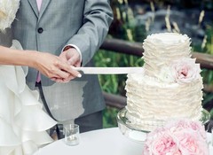 Wedding Cake Knife and Server Set, Silver Cake Cutting Set for Wedding, 4 Pieces