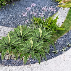 Artificial Boston Ferns Bush Plants Large, Set of 3 Large Artificial Ferns fo…