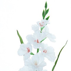 3 WHITE 36″ SILK GLADIOLUS ARTIFICIAL FLOWER Spray Stems Wedding Decorations