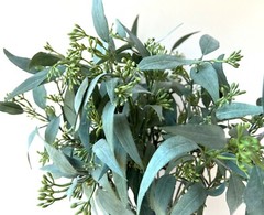 AUSTRALIAN NATIVE FLOWERS EUCALYPTUS GUM SEED STEM ARTIFICIAL GREENERY STEMS