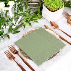 120 Sheet Sage Green Cocktail Napkin 2 Ply Color 5 x 5 In Nude Sage Green
