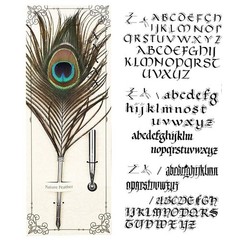 Peacock Feather Pen Set Antique Calligraphy Writing Quill Ink Dip Pen with Ho…