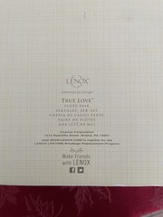 Lenox True Love Silver Plated Champagne Flute Pair 6oz Hearts Wedding Glasses