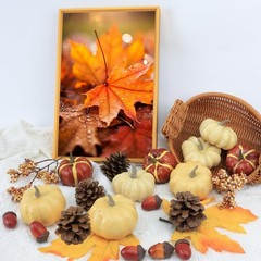 23Pcs Fake Pumpkins Fall Thanksgiving 6 x 6 x 5.5 inches, Style-7 23pcs