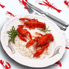 Touman 2 Pieces Crawfish Tablecloth 54 inches x 108 inches, White,red
