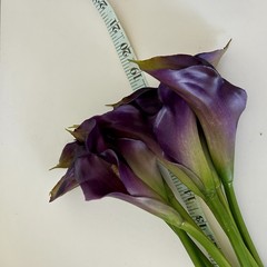 EUC REAL TOUCH PURPLE/GOLD CALLA LILY FLOWER – 8 STEMS 18” Tall