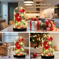 Valentines Day Gifts for Her,Beauty and The Beast Rose in Glass Classic Red