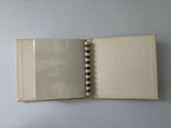 SM Vintage Photo Album – Cream w/Gold Trim – Antique Slip In Photo Wedding Book