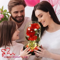 Valentines Day Gifts for Her,Beauty and The Beast Rose in Glass Classic Red