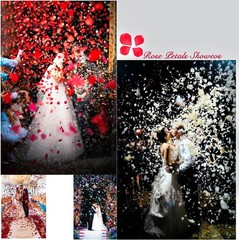 Elegant 1000pcs Deep Purple Water-Resistant Rose Petals for Weddings & Parties