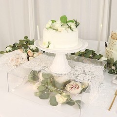 Balsa Circle 18×18 in Clear Acrylic Display Box Cake Stand 18″,