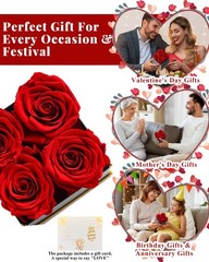 Changshunqi Forever Flowers, Preserved Roses in a Box, Eternal Rose Red