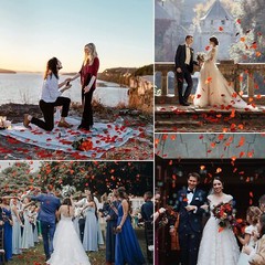 5000 × Red Artificial Fake Rose Petals Wedding Romantic Event Party Decor USA