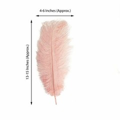 12 pcs 13-15″ long Rose Gold Genuine Ostrich FEATHERS Wedding Party Centerpieces