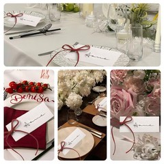 50 PCS Name Place Cards Table Setting Blank Wedding Ribbon 1.57 x 3.54 Inch Red