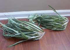 2 Bunches Chlorophytum Grass Vine Artificial Plants Spider Hang (50 leaves each)