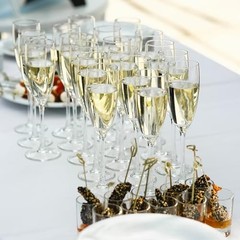16 Pack Acrylic Champagne Flute, 5 Oz Clear Plastic Champagne Glasses