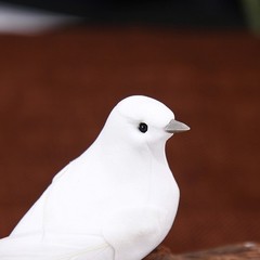 Artificial Doves Bird Garden Home Indoors 2pcs Clip Feather Home Lover