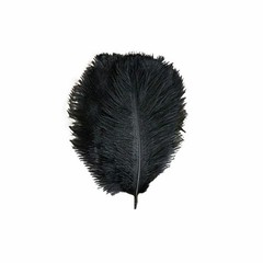 12 pcs 13-15″ long Black Genuine Ostrich FEATHERS Wedding Party Centerpieces
