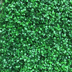 12pcs 24×16″ Artificial Boxwood Mat Wall Hedge Decor Privacy Fence Panel Grass