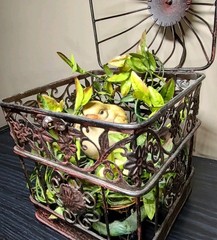 Vintage Decorative Metal Bird Cage French Country Cottage Decor w/Nest and Chick