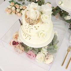 Balsa Circle 18×18 in Clear Acrylic Display Box Cake Stand 18″,