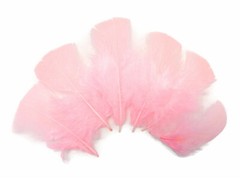 Pink Turkey T-Base Plumage Feathers Bridal Corsage Bouquet Decor DIY 20 Pc
