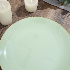 SAGE GREEN 10 Glossy 10″ Round Plastic Salad PLATES Gold Rim Party Events