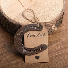10/20/40 pcs Lucky Horseshoe Mini Decor Wedding Favors for Guests Vintage Metal