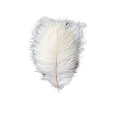 12 pcs 24-26″ long White Genuine Ostrich FEATHERS Wedding Party Centerpieces