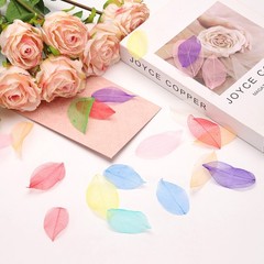 100Pcs White Skeleton Leaves 2″- 3″ Rubber Tree Scrapbooking