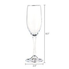 Champagne Flutes Set of 2 Elegant Wedding Toasting Glasses Party Drinkware Clear