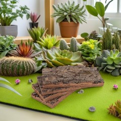 4 Pcs Natural Bark Decoration Wood Pieces Terrarium Tree Carving for Crafts