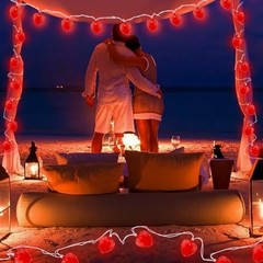 8.5Ft Heart String Lights, Valentine Decoration Lights with 10 Red Heart Lights