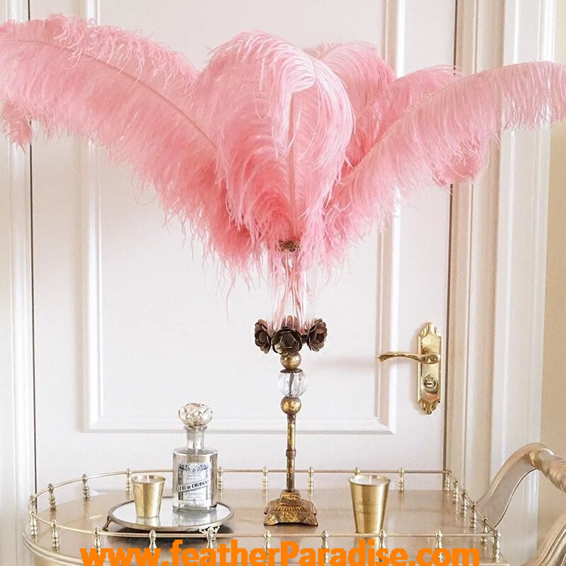 Blush Pink Ostrich Feathers 12-14 inches 100 Pieces Dozen Blush Feather Wedding