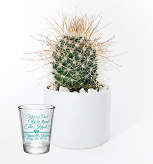 personalized wedding shot glasses, take a shot we tied the knot, wedding favors