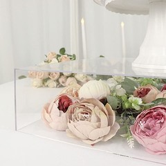 Balsa Circle 18×18 in Clear Acrylic Display Box Cake Stand 18″,