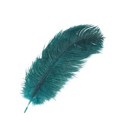 12 pcs 13-15″ long Teal Genuine Ostrich FEATHERS Wedding Party Centerpieces
