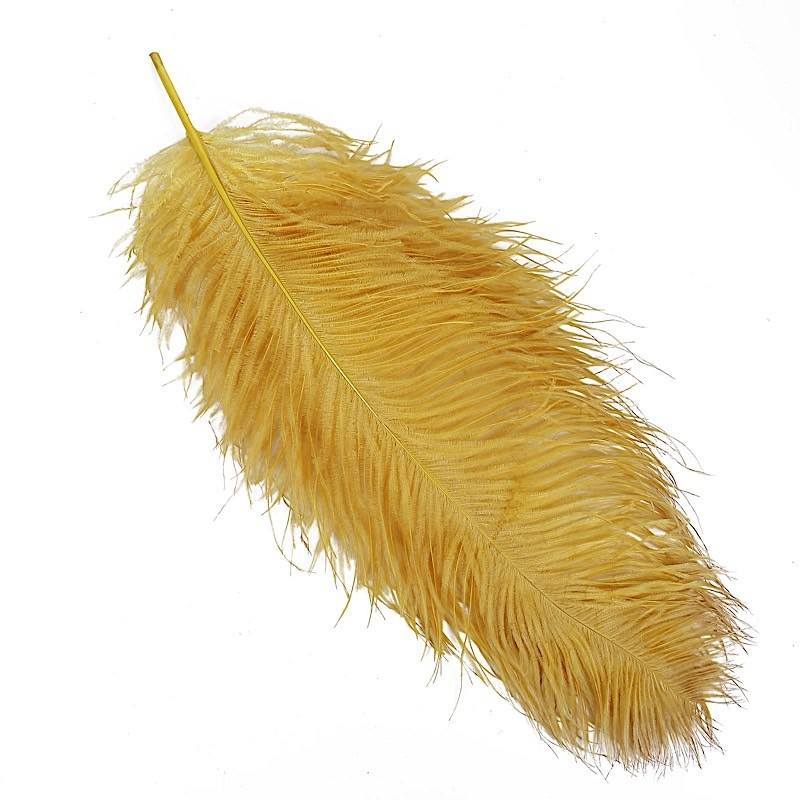 12 pcs 24-26″ long Gold Genuine Ostrich FEATHERS Wedding Party Centerpieces