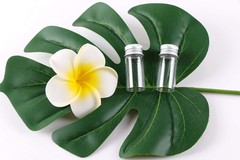 MaxMau 100 10ml Vials Small Mini Tiny Glass Bottles Clear Empty Jars
