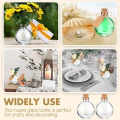Baderke 24 Sets 5 oz Mini Glass Bottle with Cork Lids Round Small clear