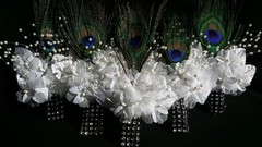 Peacock Feather Wedding BOUTONNIERE, White flower, CORSAGE,PROM,Quinceañera,Gift