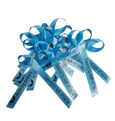 Personalized Ribbon Bow Wedding Favor Baby Shower Birthday Bridal 25 Quinceanera